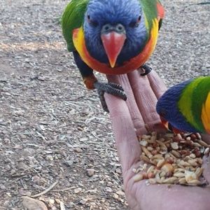 Meet your Posher, George